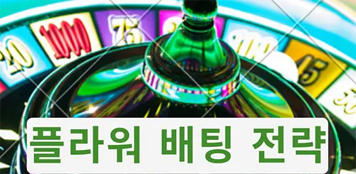 라이트닝 룰렛 플라워 배팅 전략